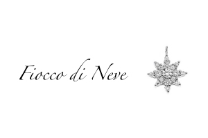  FIOCCO DI NEVE